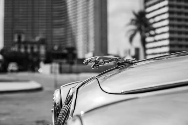 Casino Golden Reels Android/iOS-app